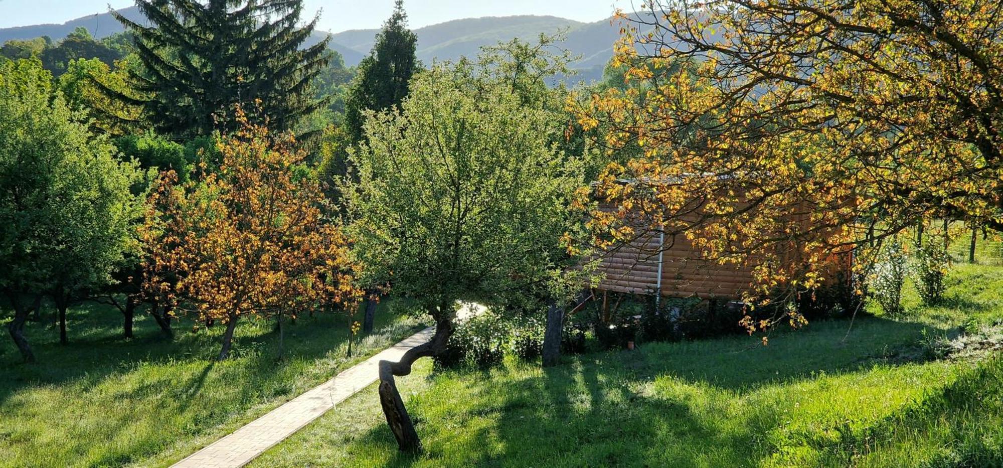 Reteskert Vendeghaz Es Apartman Белапатфальва Екстер'єр фото